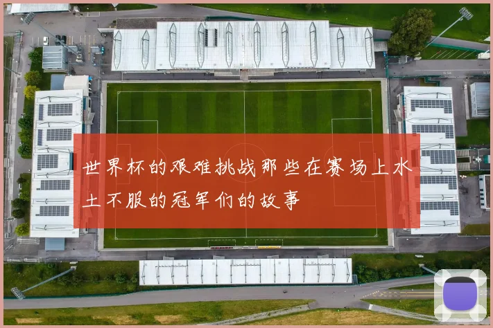 世界杯的艰难挑战那些在赛场上水土不服的冠军们的故事